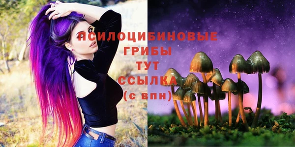 трава Армянск