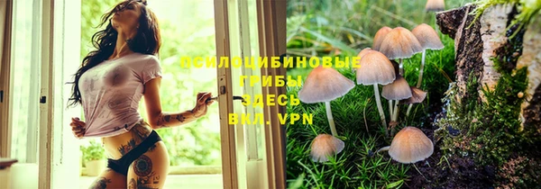 винт Алзамай
