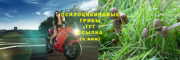 винт Алзамай