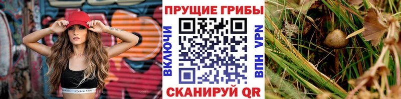 Галлюциногенные грибы Magic Shrooms  Балабаново 